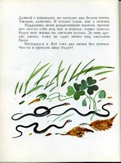 Сладков гнездо главная мысль