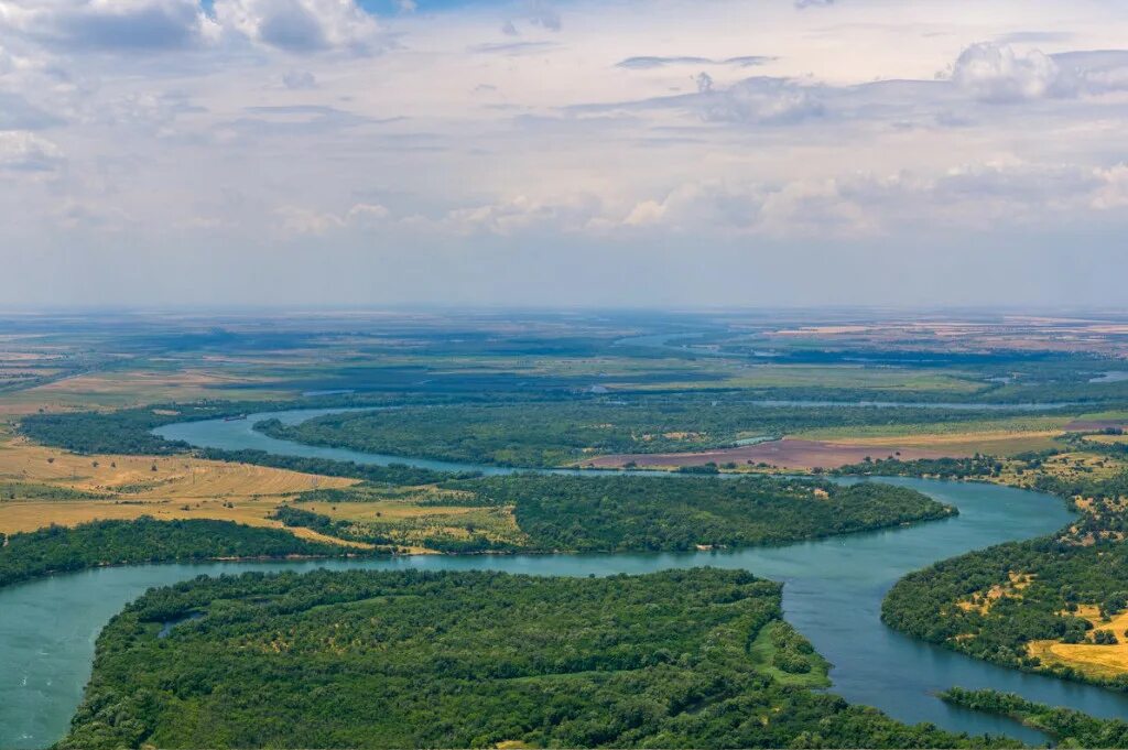 Дельта дона фото