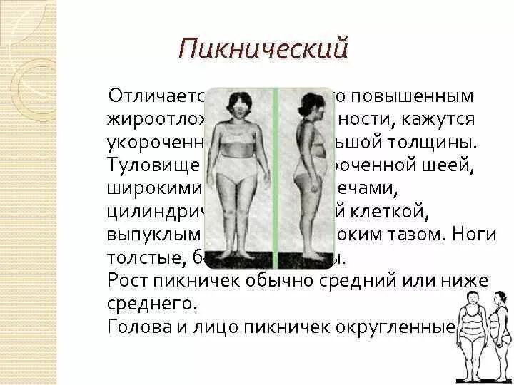 Пикнический телосложения человека кречмер. Лептосомный астенический тип. Женщины пикнического типа. Пикнический тип телосложения. Типы телосложения пикник астеник атлетик.