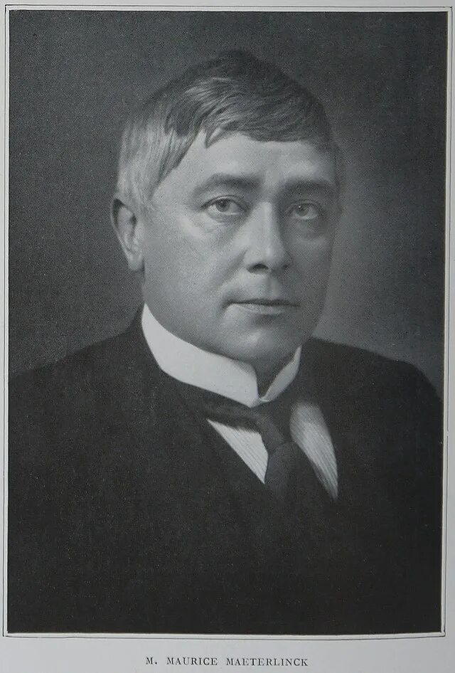 Метерлинк. Maurice maeterlinck. морис метерлинк фото. метерлинк биография.