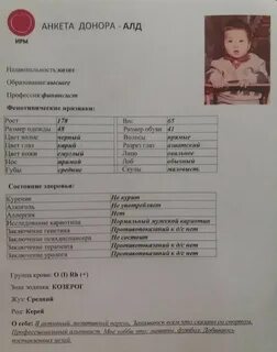 Донорское эко отзывы