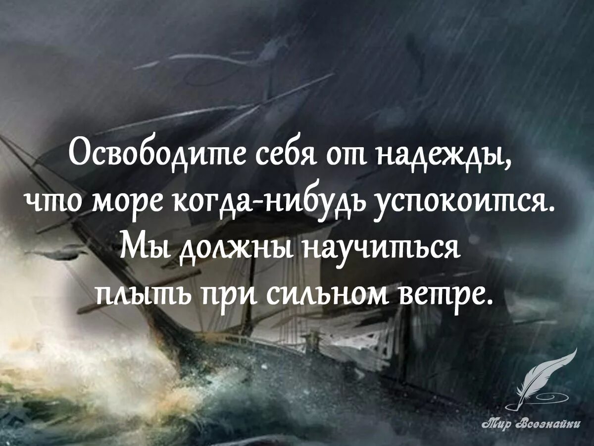 высказали надежду. фразы для вывода. высказали надежду. высказали надежду. заключающие фразы.