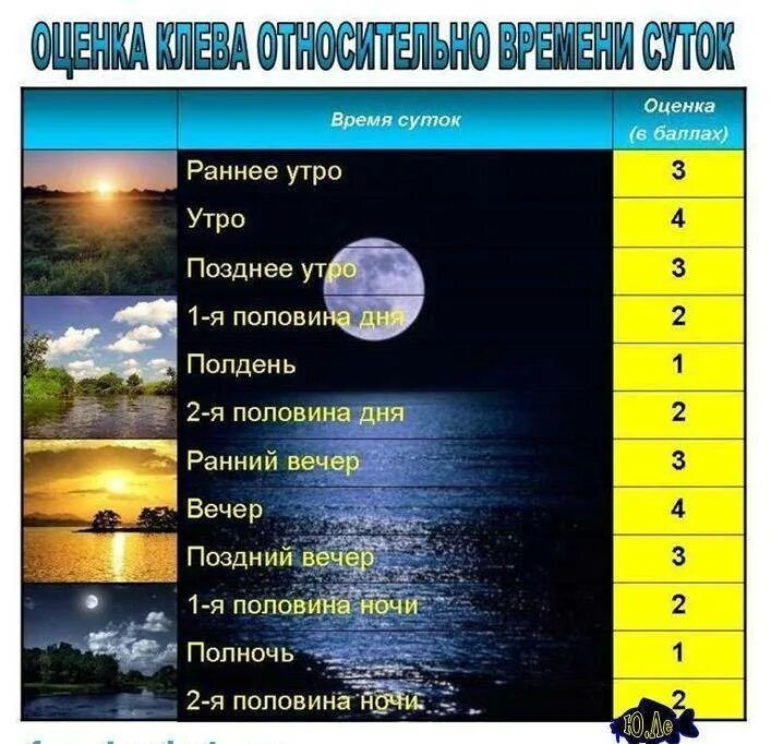 Клев рыбы 24. Фазы Луны влияющие на клев рыбы. Влияние фазы Луны на клев. Влияние фаз Луны на клев рыбы. Влияние лунных фаз на клев рыбы.