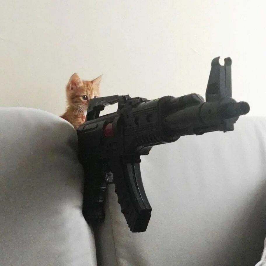 Pin on Only sad kittens