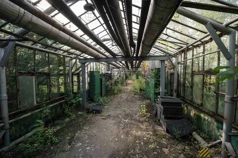 Совхоз садоводства