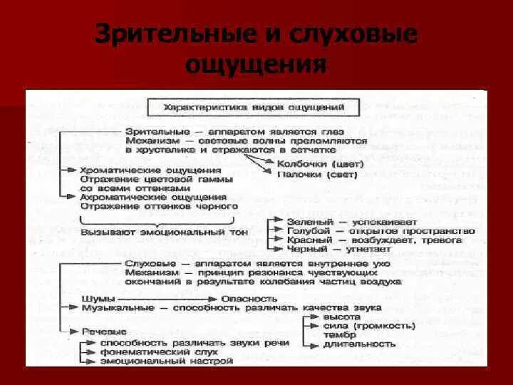 Зрительные ощущения в психологии. Ощущение виды ощущений. Зрительные ощущения в психологии. Особенности зрительных ощущений. Характеристика зрительного ощущения.