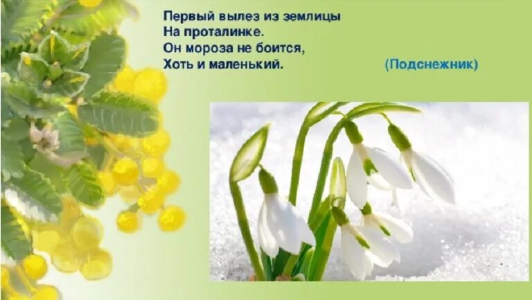 Загадки про весну для детей 4 лет. Весенние загадки. Загадки про весну. Весенние загадки для дошкольников. Загадки весенние загадки.