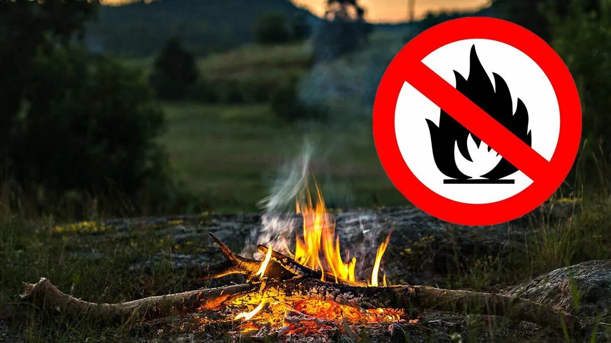 Нельзя разжигать костёр в лесу. Пожароопасный период 2022. Костры в лесу запрещены. Запрещено разводить костры в лесу. Разводить костер в лесу запрещено