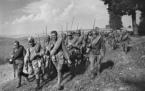 Стрелковые дивизии 1944 год