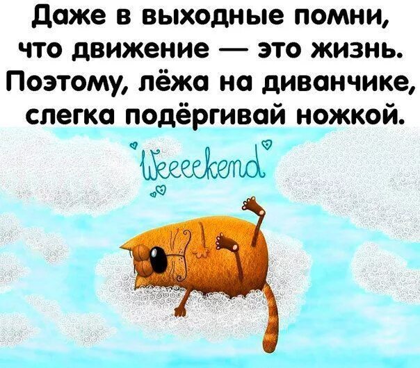 Chillin Funny animal memes, Funny pictures, Funny animals