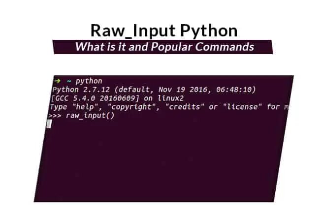 Raw input. Инпут питон. input в питоне. raw input python. функция инпут в питоне.