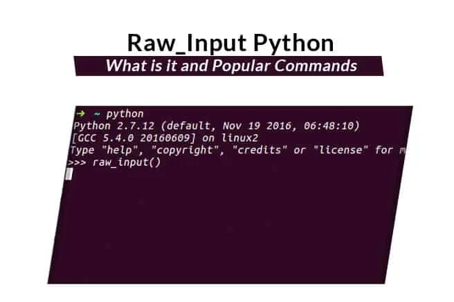 Инпут питон. Input в питоне. Raw input. What is Python.