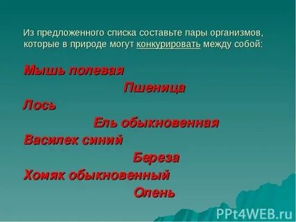 Пары организмов
