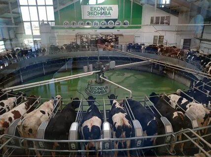 Эконива калуга экскурсии