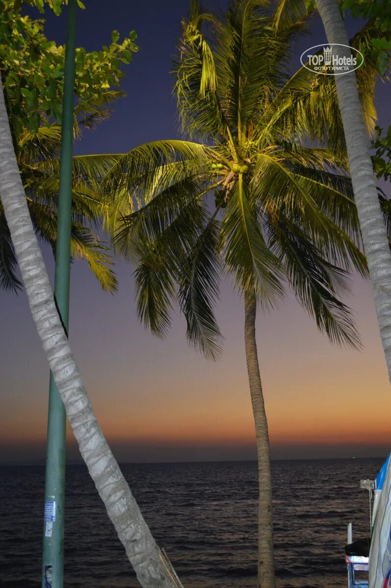 Quarter beach 3. Quarter 09 beach 3*. Quarter beach 3. 427 moo 12 jomtien beach rd, pattaya city. Rs sea side) 3*, таиланд, паттайя.