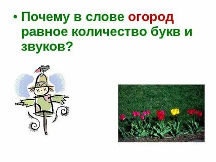 Огород сколько звуков