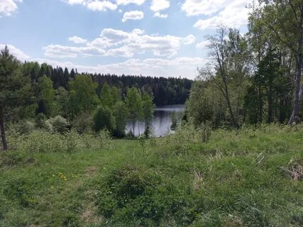 Рыбалка на лесном озере
