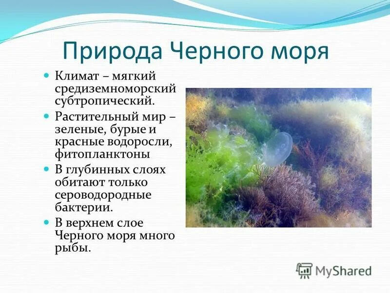 море амундсена. описание состояния природы. полное имя моря.