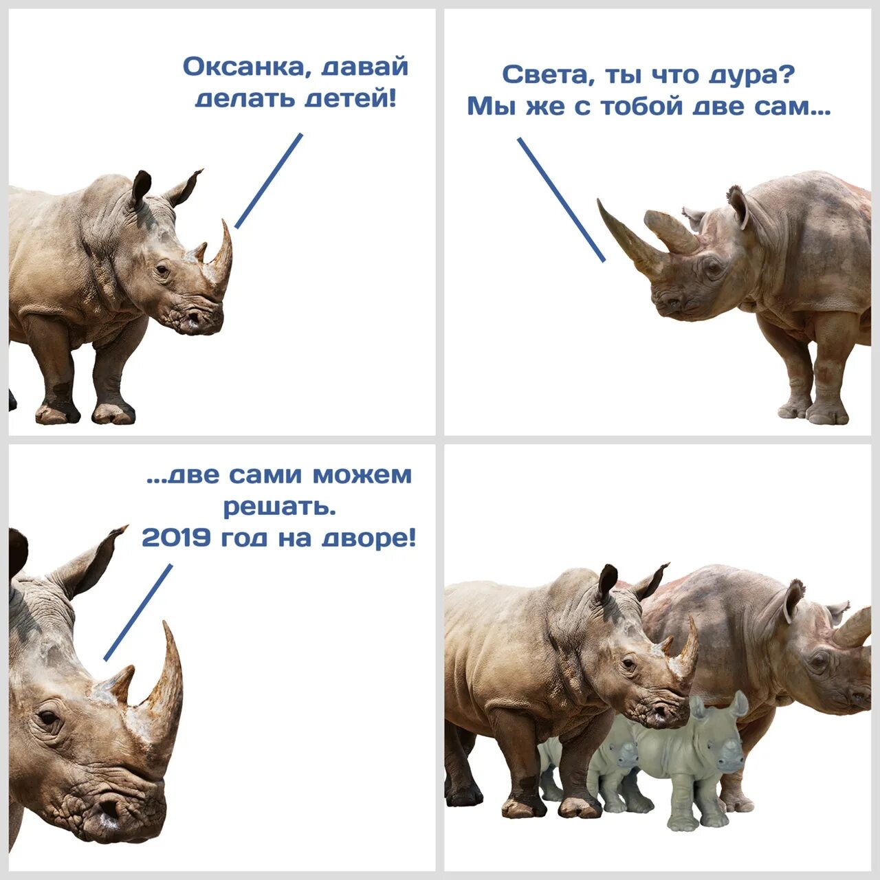 Страшный носорог. Последний белый носорог. Эмбрион носорога.