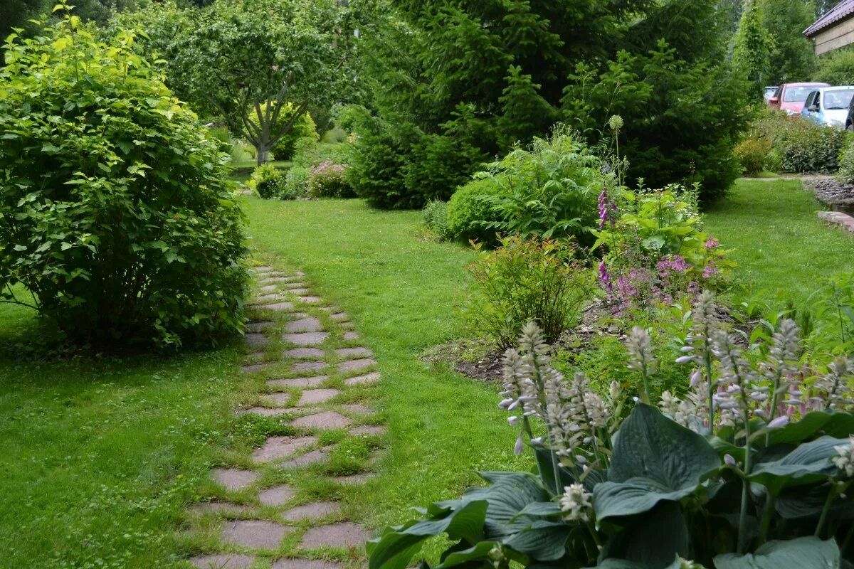 Сад елены лебедевой всеволожск. Сад андрея лысикова. Замечательные сады профсад. Олд маней сад. Замечательные сады профсад.