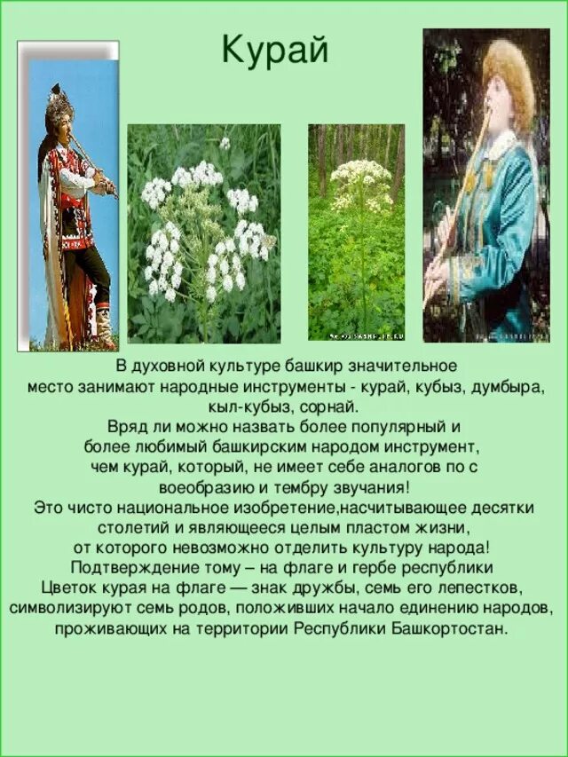 Праздники июнь башкирия