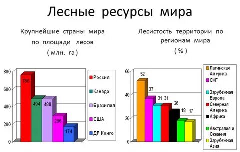 В какой стране лесистость больше тайланд