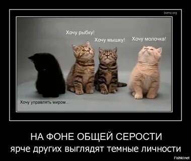 Хочу быть мышкой