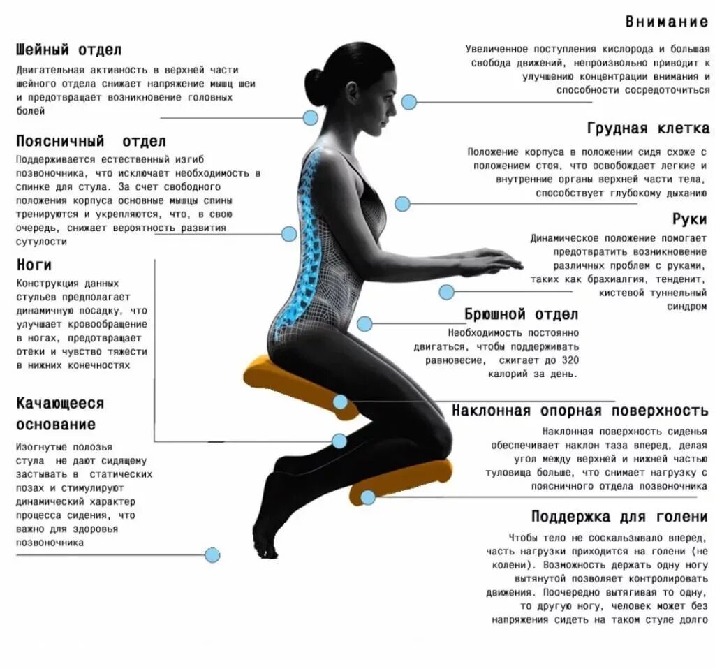Что нужно есть чтобы был стул. Нагрузка на позвоночник. Нагрузка на позвоночник сидя. Стул для здоровой осанки. Коленный стул нагрузка.