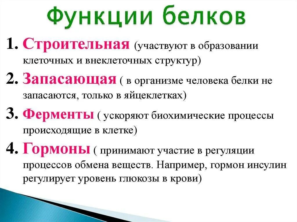 Белки выполняющие разные функции. Перечислить функции белков в организме человека.. перечислите основные функции белков в организме человека.. функции белков в организме человека схема. основная функция белка в организме.