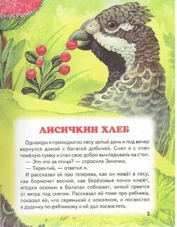 Пришвин мамин сибиряк