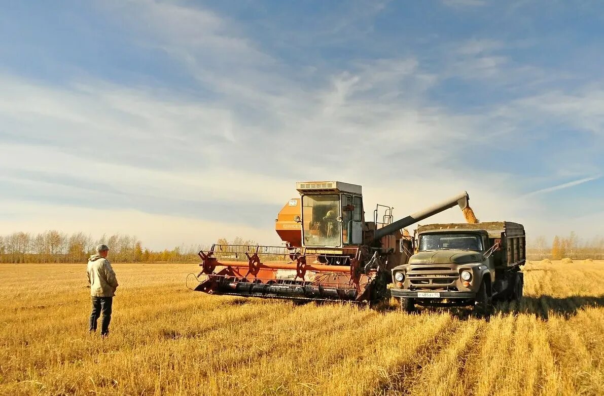 Уборка урожая. Плантация картофеля. Сельское хозяйство швеции. Сельскохозяйственная техника. Помидорные плантации хайнц.