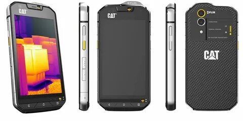 Cat s