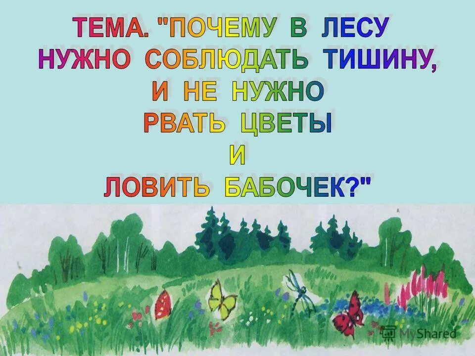 Соблюдать тишину в лесу. Почему в лесу необходимо соблюдать тишину. Почему в лесу нужно соблюдать тишину. Почему в лесу мы будем соблюдать тишину. Почему в лесу надо соблюдать тишину.