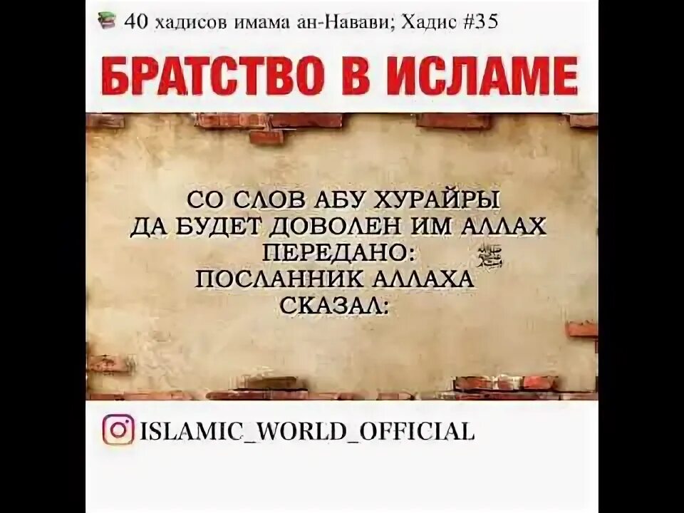 Братства по исламе. Братство в исламе хадисы. Сирадж абу тальха. Братство в исламе. Про братство в исламе.