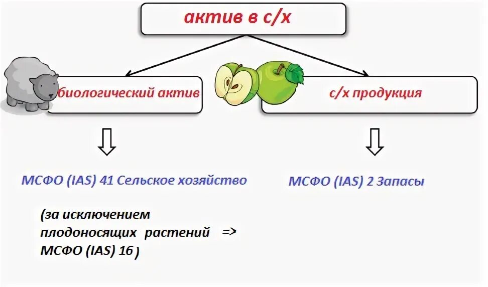 Товар актив