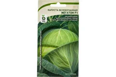 Капуста мегатон характеристика и описание отзывы