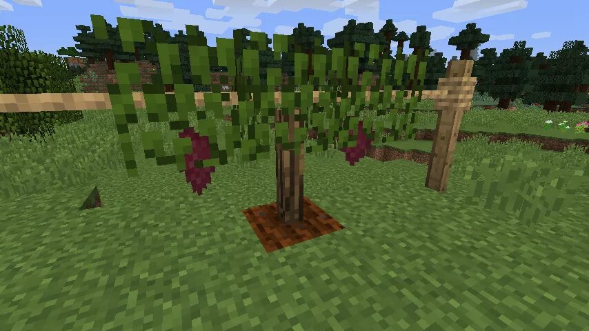 Simple farming