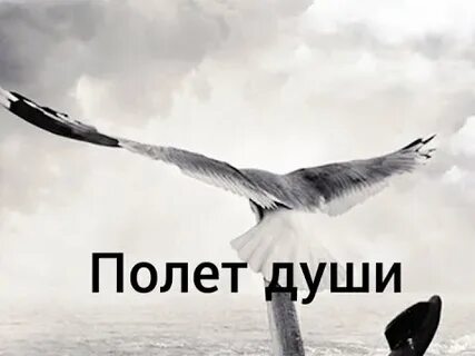 Полет души книга