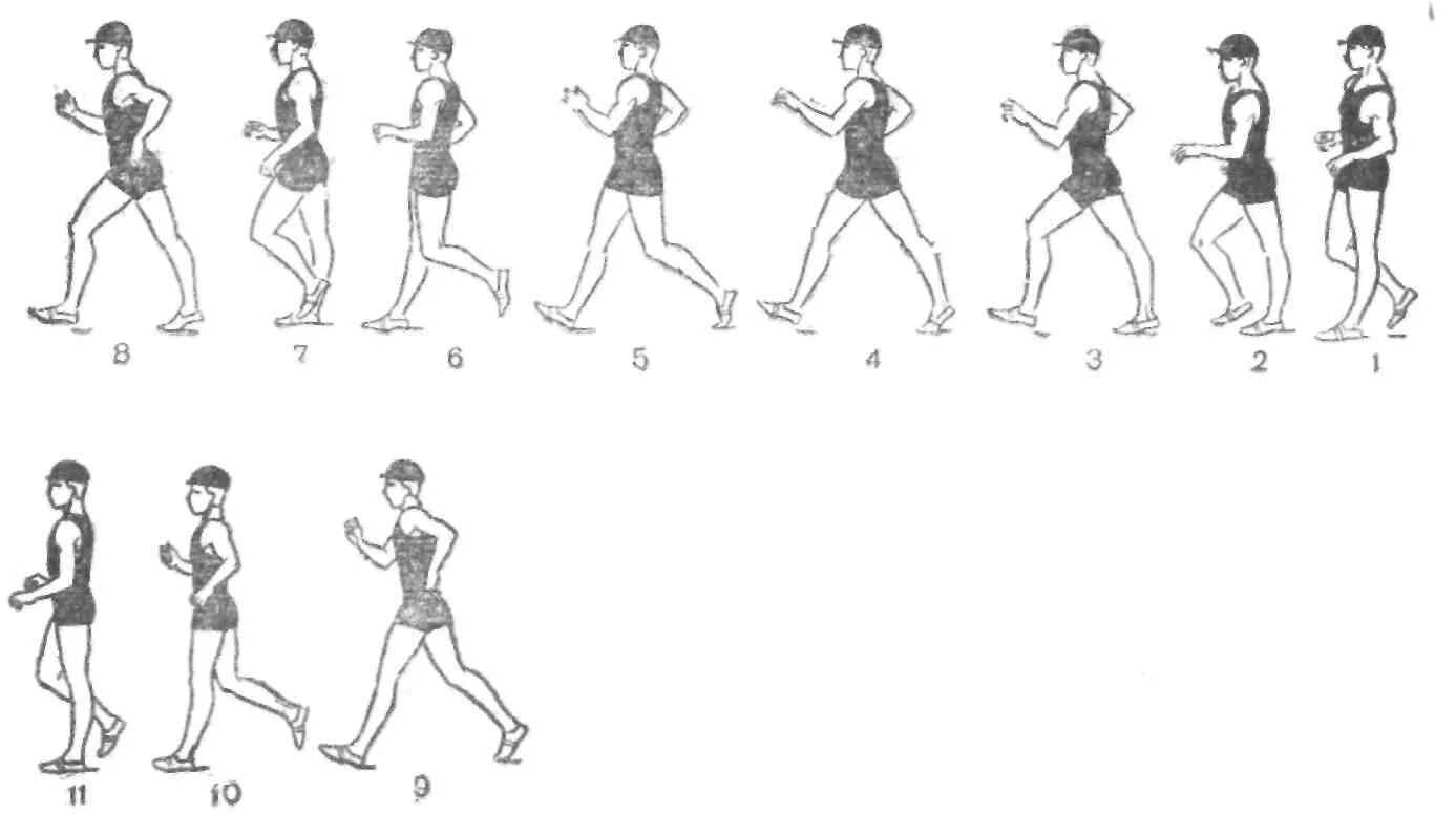 Спортивная ходьба техника. Техника спортивноймходьбы. Методика спортивной ходьбы. Спортивная ходьба упражнения. Техники ходьбы и бега