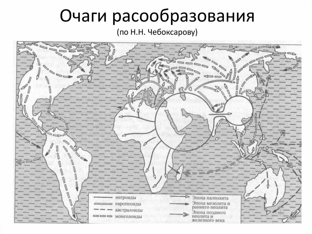 Ареалы распространения человеческих рас. Очаги расообразования. Очаги расообразования и пути расселения рас. Первичный очаг расообразования. Расселение человеческих рас на карте.