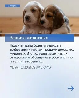 Законопроект март