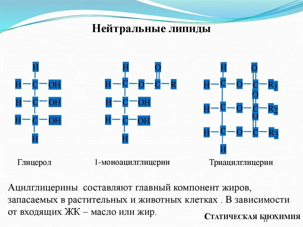 Связи липидов. Нейтральные липиды. Простые липиды формула. Нейтральные Лианды. Нейтральные липиды (глицеролипиды.