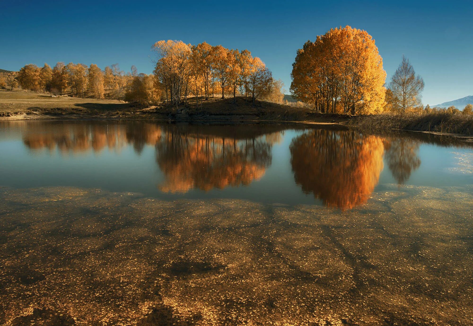 В природе отражаются на. Осеннее озеро. Природа осень. Озеро осенью. Осень озеро.