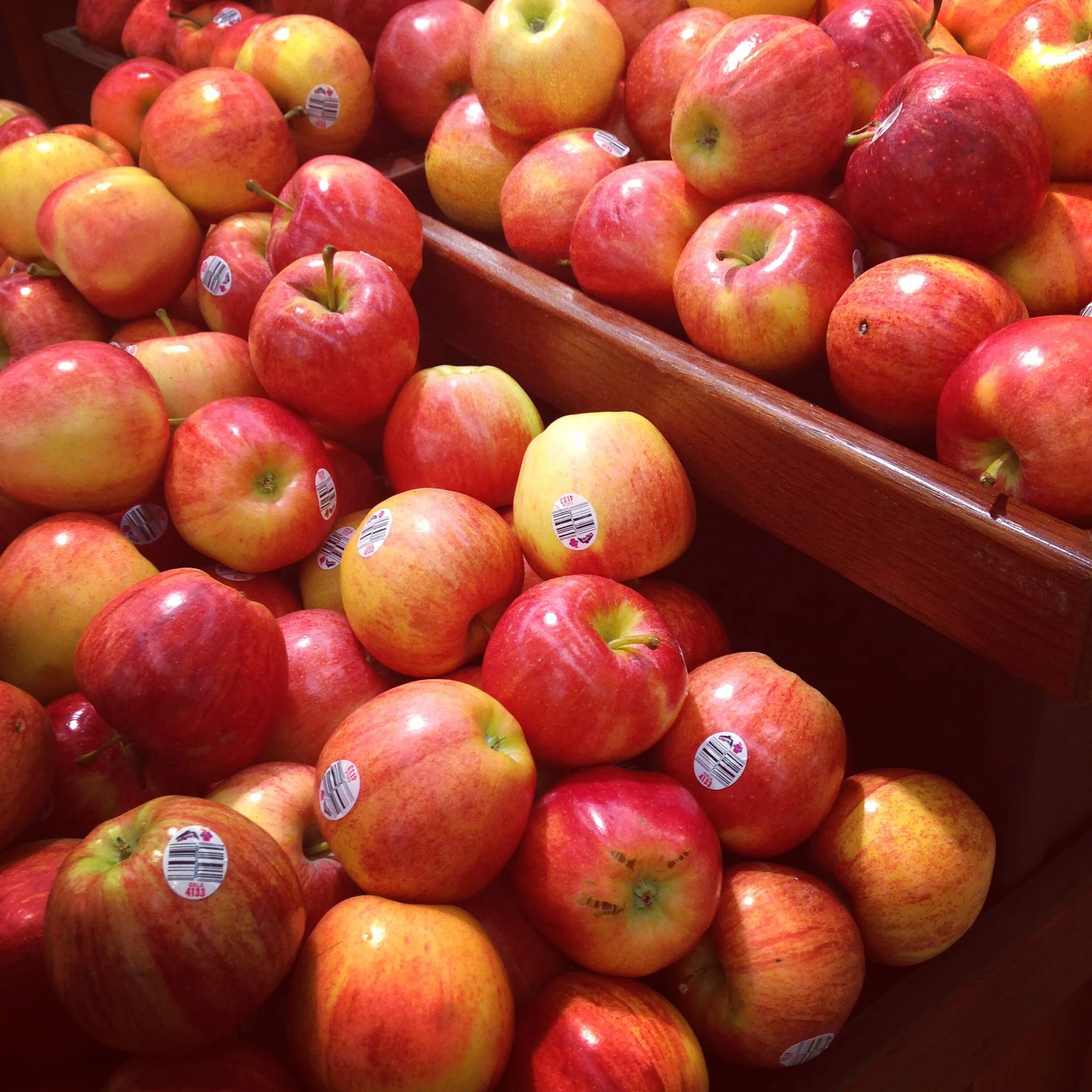 2 килограмм яблок. Яблоки. Яблоки свежие. Сладкие яблоки. Килограмм яблок.