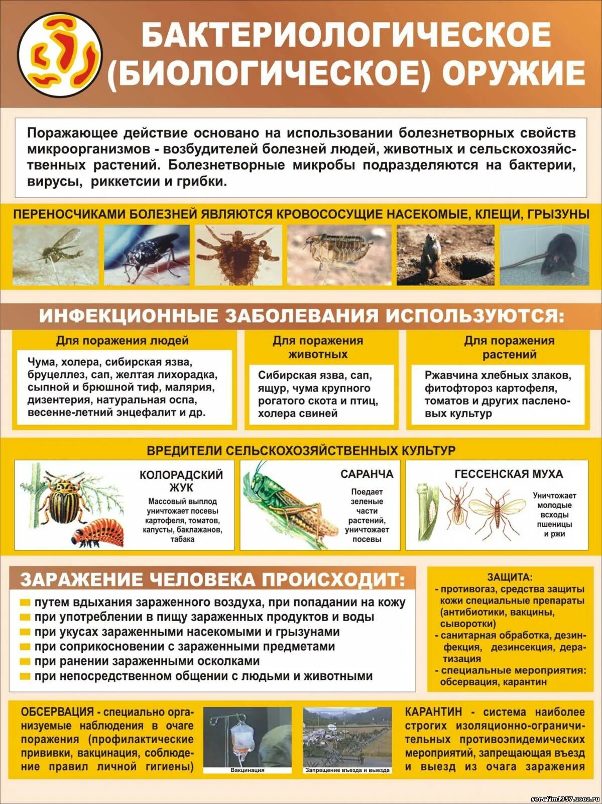 Суть биологического оружия. Бактериологическое оружие. Бактериалогическоеоружие. Виды биологического оружия. Опасность биологического оружия.