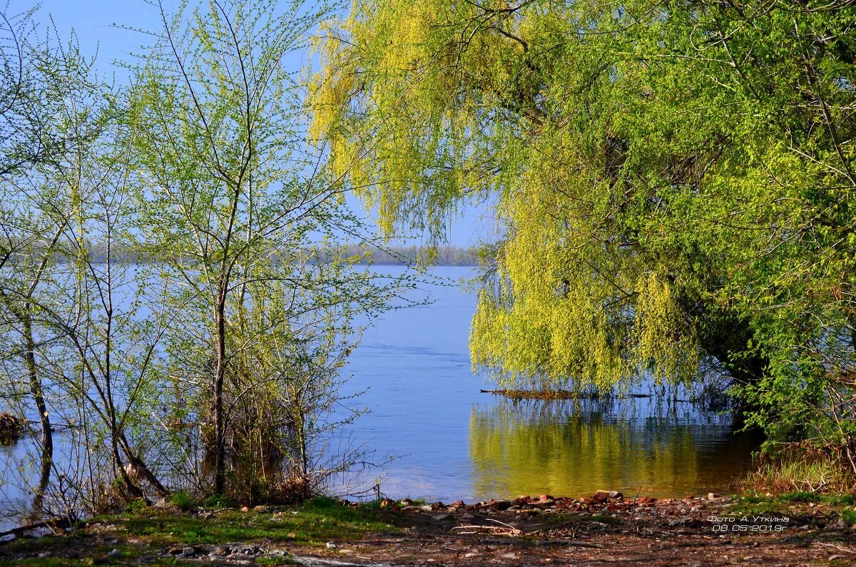 сады волги. тверь волга афанасий никитин набережная. набережная реки волги ярославль. весна на волге. ярославская область река волга набережная.