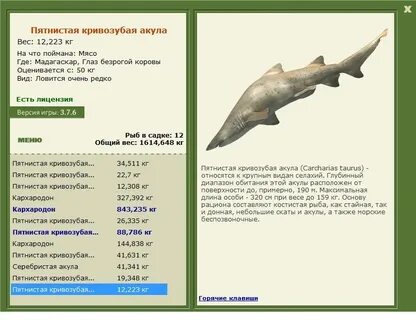 Где находятся акулы