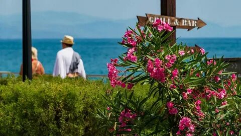 Погода алушта на сентябрь 2024