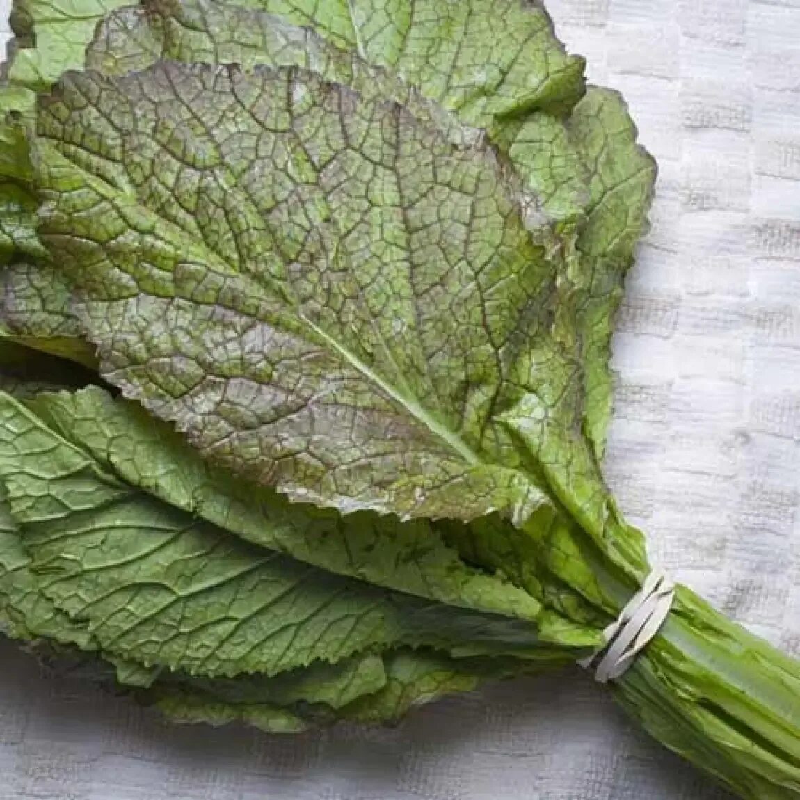 Горчица салатная растение. Горчица салатная волнушка (1г). Листья салата горчица. Горчица салатная волнушка. Горчичный салат.