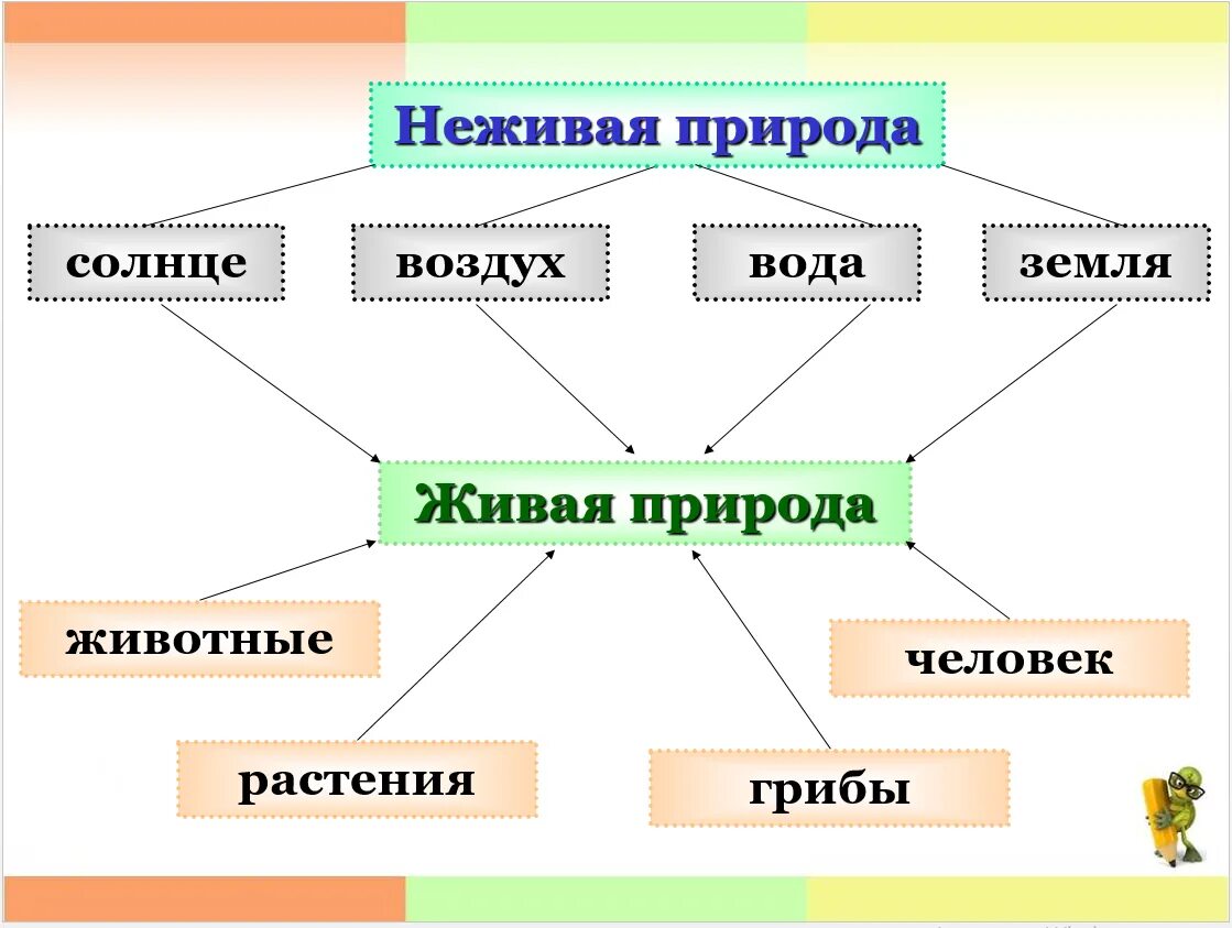 Привести пример живой и неживой природы. Схема связи живой и неживой природы. Связь живой и неживой природы 2 класс. Схема связи живой и неживой природы 2 класс. Схема связи живой и не живой природы.